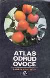 Atlas odrd ovoce