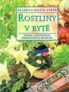 Rostliny v byt