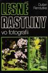 Lesn rastliny vo fotografii