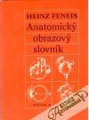 Anatomick obrazov slovnk