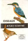 Oiseaux - atlas illustr