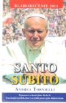 Santo Subito